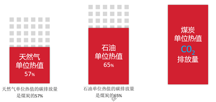 奥马资料大全205