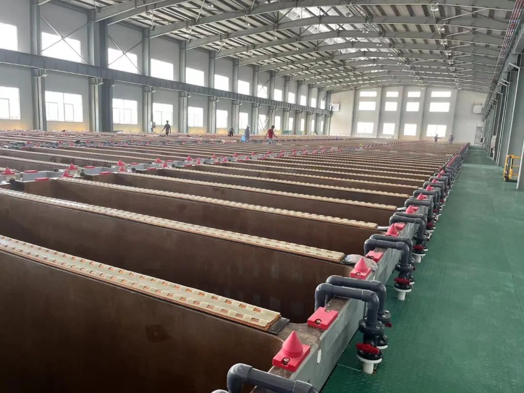 奥马资料大全205