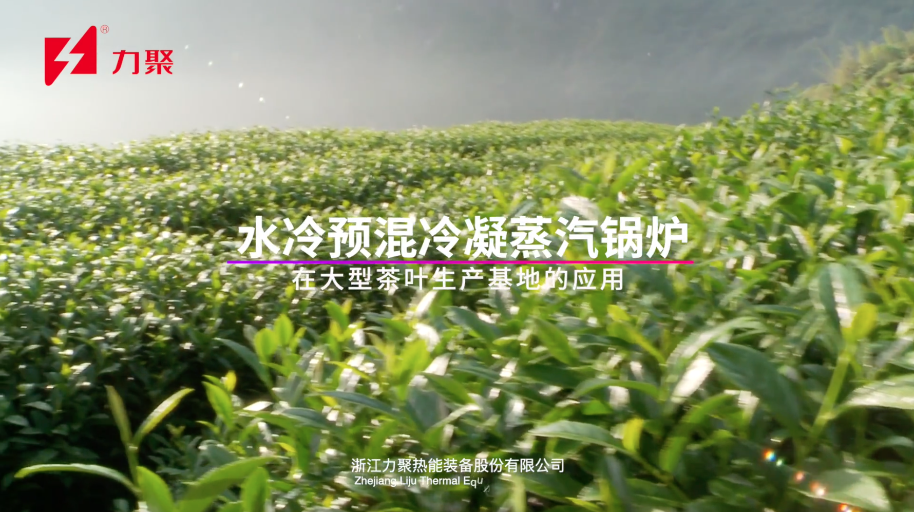 奥马资料大全205